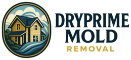 Dryprime Mold Removal